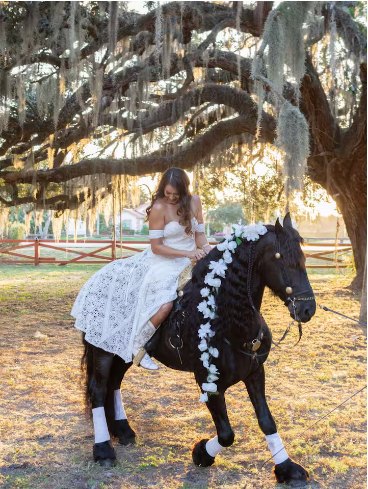 A black Friesian horse beneath live oaks draped in Spanish moss on the property